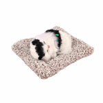 Unique Style Sleeping Cute Cat - Nainileaf