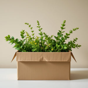 Gifting Plants: Best Options for Every Occasion