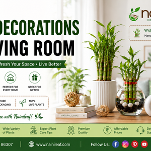 plant decorations for living room
