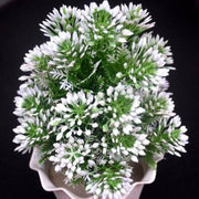 Artificial Snow Tip - Nainileaf