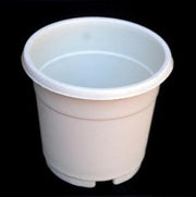 Pack of 5 pcs White flower pot 4 Inches - Nainileaf