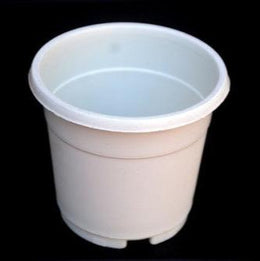 Pack of 5 pcs White flower pot 4 Inches - Nainileaf