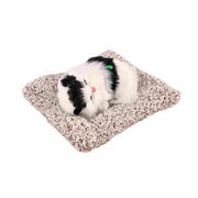 Unique Style Sleeping Cute Cat - Nainileaf