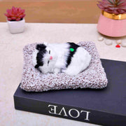 Unique Style Sleeping Cute Cat - Nainileaf