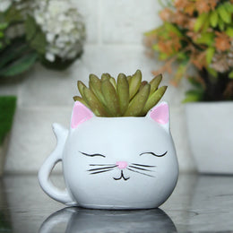 Small Kitty Succulent Pot
