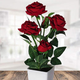 Red Rose with Plastic Pot