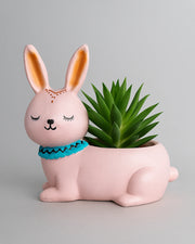 Nainileaf Baby Rabbit Pot (Without Plant)