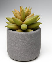 Artifical succulent plant with concrete pot