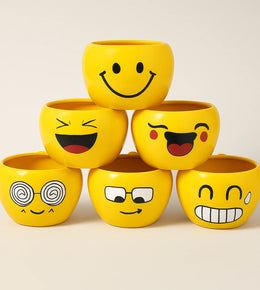 Nainileaf Metallic Emoji Pots - Set of 6 pcs