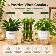 Positive Vibes Combo