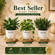 Best Seller Plant Combo