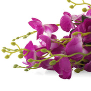 Dark Purple Orchid Artificial Flower Decorative With Pot