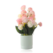 Multicolor Rose Flower Plant with Lined Pot