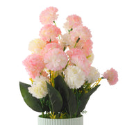 Multicolor Rose Flower Plant with Lined Pot