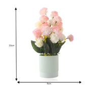 Multicolor Rose Flower Plant with Lined Pot