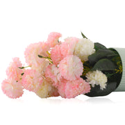 Multicolor Rose Flower Plant with Lined Pot