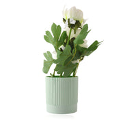 Artificial Pure White Flower Plant with Lined Pot