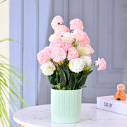 Multicolor Rose Flower Plant with Lined Pot