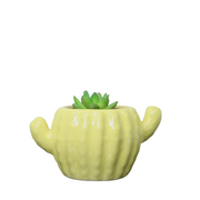 Ceramic Cactus Pot