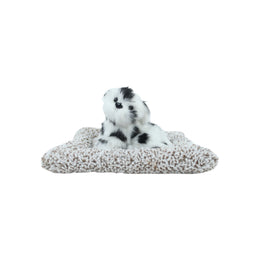 Fur Dog on Pillow (White)