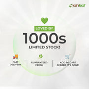 Success Attraction Succulent Combo