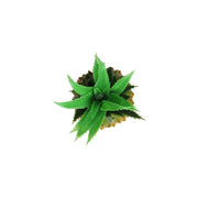 Artificial Pineapple