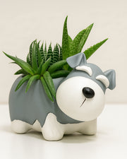 Nainileaf Grey Dog Pot (Without Plant)