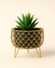 Nainileaf Handi pot with Golden stand