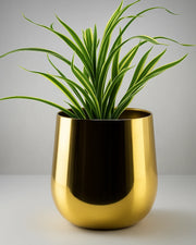 Nainileaf Iron Pot with Plating finish