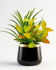 Nainileaf Metal Cup Designer pot