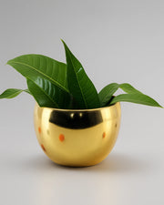 Nainileaf Metal Plain Apple Pot
