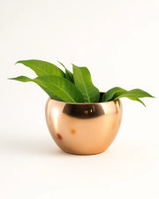 Nainileaf Metal Plain Apple Pot