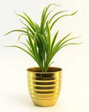 Nainileaf Metal designer pot in circular plating