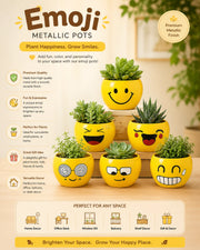 Nainileaf Metallic Emoji Pots - Set of 6 pcs