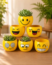 Nainileaf Metallic Emoji Pots - Set of 6 pcs