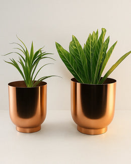 Nainileaf Metallic Set of 2 Planters