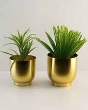 Nainileaf Metallic Set of 2 Planters