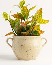 Nainileaf Modernist Metal Vessel