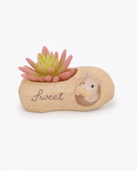 Nainileaf Peanut Pot 4 inch - (Without Plant) - Nainileaf