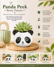 Nainileaf Panda Peek Resin Planter