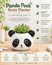 Nainileaf Panda Peek Resin Planter