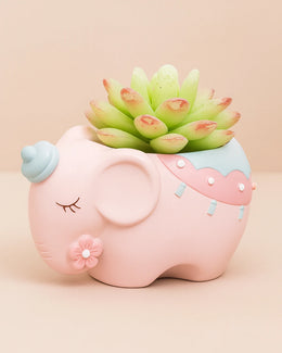 Nainileaf Pink elephant 4 inch raisin Pot- (Without Plant)