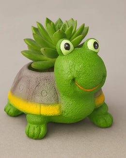 Nainileaf Tortoise Raisin Pot- (Without Plant)