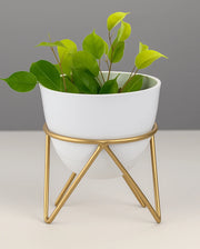 Nainileaf metal Planter with stand