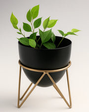 Nainileaf metal Planter with stand