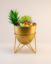 Nainileaf metal Planter with stand