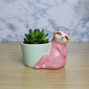 Sloth Bear Ceramic Pot (Dark Pink)
