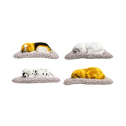 Imported Big Four Dogs