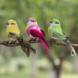 Clip Birds (Set of 12)