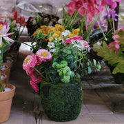 Green Moss Flower Pot